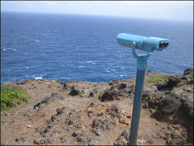 Whale watching lookout point