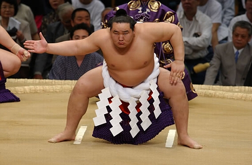 sumo-primer-get-ready-for-the-hawaii-grand-sumo-tournament-e-hawaii