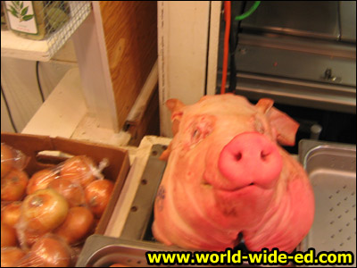 Poor piggy who went to the market