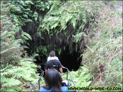 Descending into the abyss, the mouth of the lava tube.