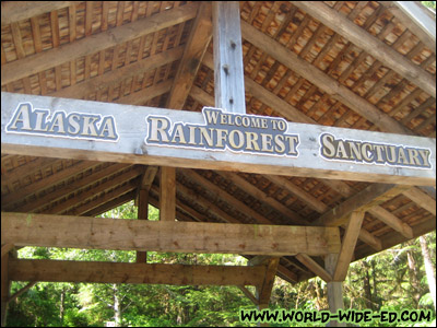 Alaska Rainforest Sanctuary