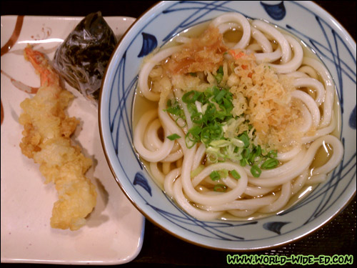 Kake Udon - Udon noodles in a hot broth