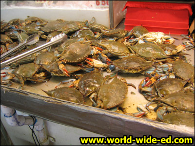 Crab selection in Chinatown
