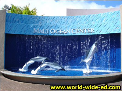 Maui Ocean Center - Marine Mammal Discovery Center