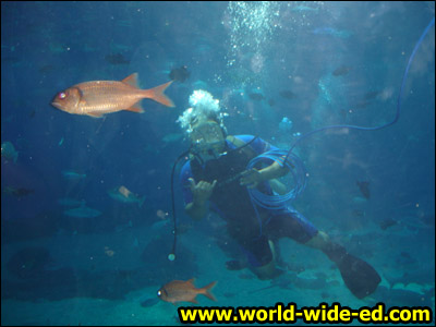 Maui Ocean Center - Marine Mammal Discovery Center