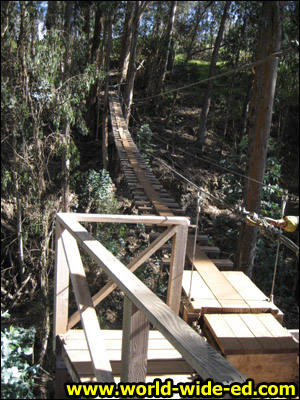 Swinging Bridge