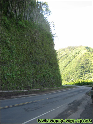 Hana Highway