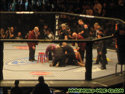 Silva still on the ground after a vicious Machida punch