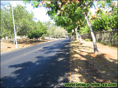 Looking back on Monsarrat Ave, on the way towards Diamond Head