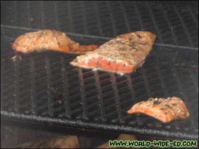 Salmon pieces ready to be gobbled up!