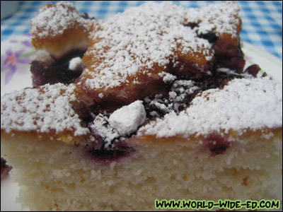 Blueberry dessert