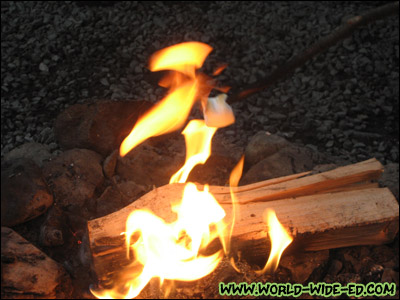 Roasting marshmallows over the open campfire