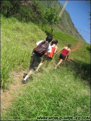 Walking up towards the Koko Head Crater trail head