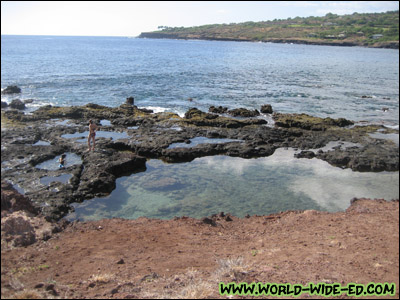 Hulopo`e Bay Tide Pools