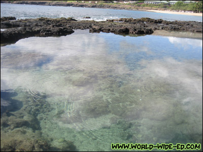 Hulopo`e Bay Tide Pools