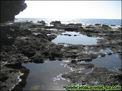 Hulopo`e Bay Tide Pools