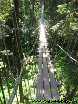 The suspension bridge ahead