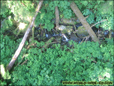 Looking down into the river from the suspension bridge above