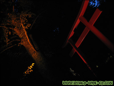 Japanese style arch/gate at the entrance of the Japanese Gardens