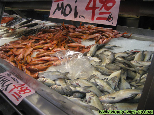 Seafood selection at Tamashiro Market