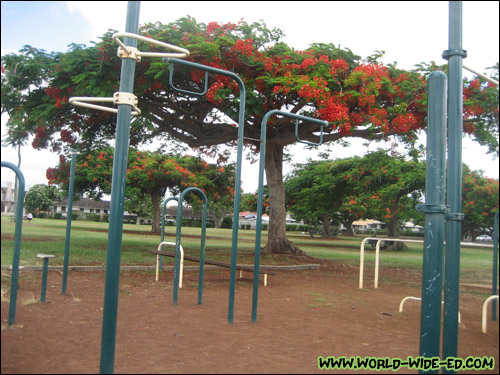 Neal S. Blaisdell Park