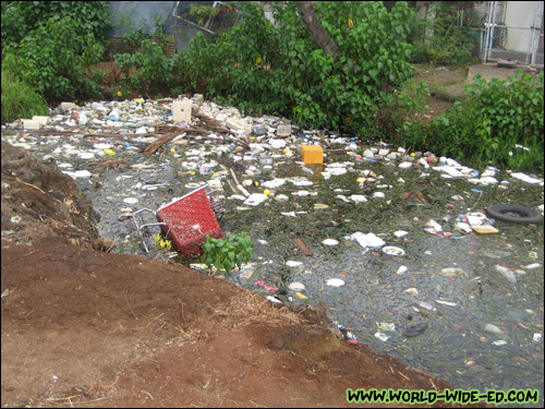 Pollution along the Pearl Harbor Bike Path