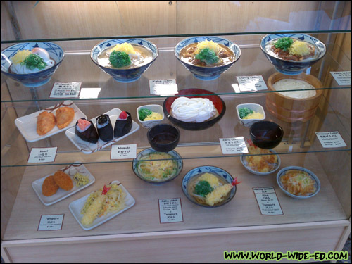 Here's what they were looking at (shokuhin/plastic food display)