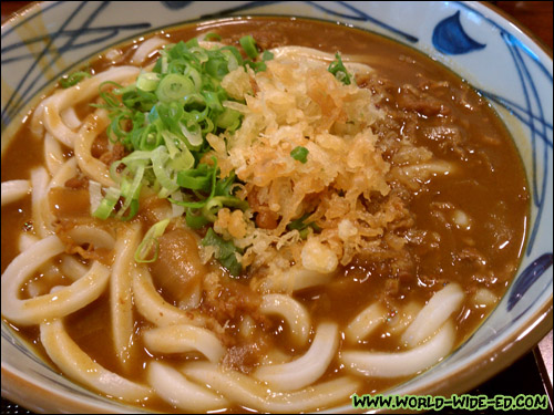 Curry Udon - 