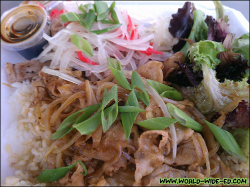 Pork Ginger and Wafu w/ponzu Steak combination plate ($9)