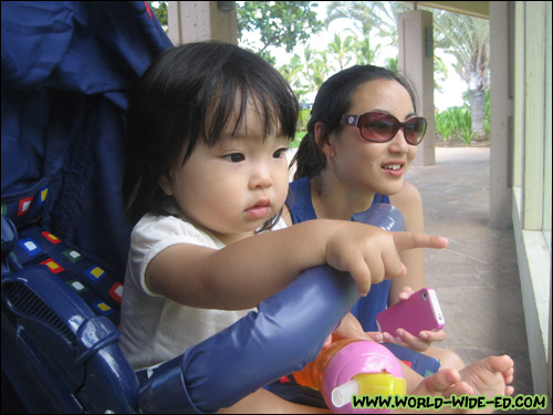 Pointing at the flamingos (baby's eyes are getting heavy...)