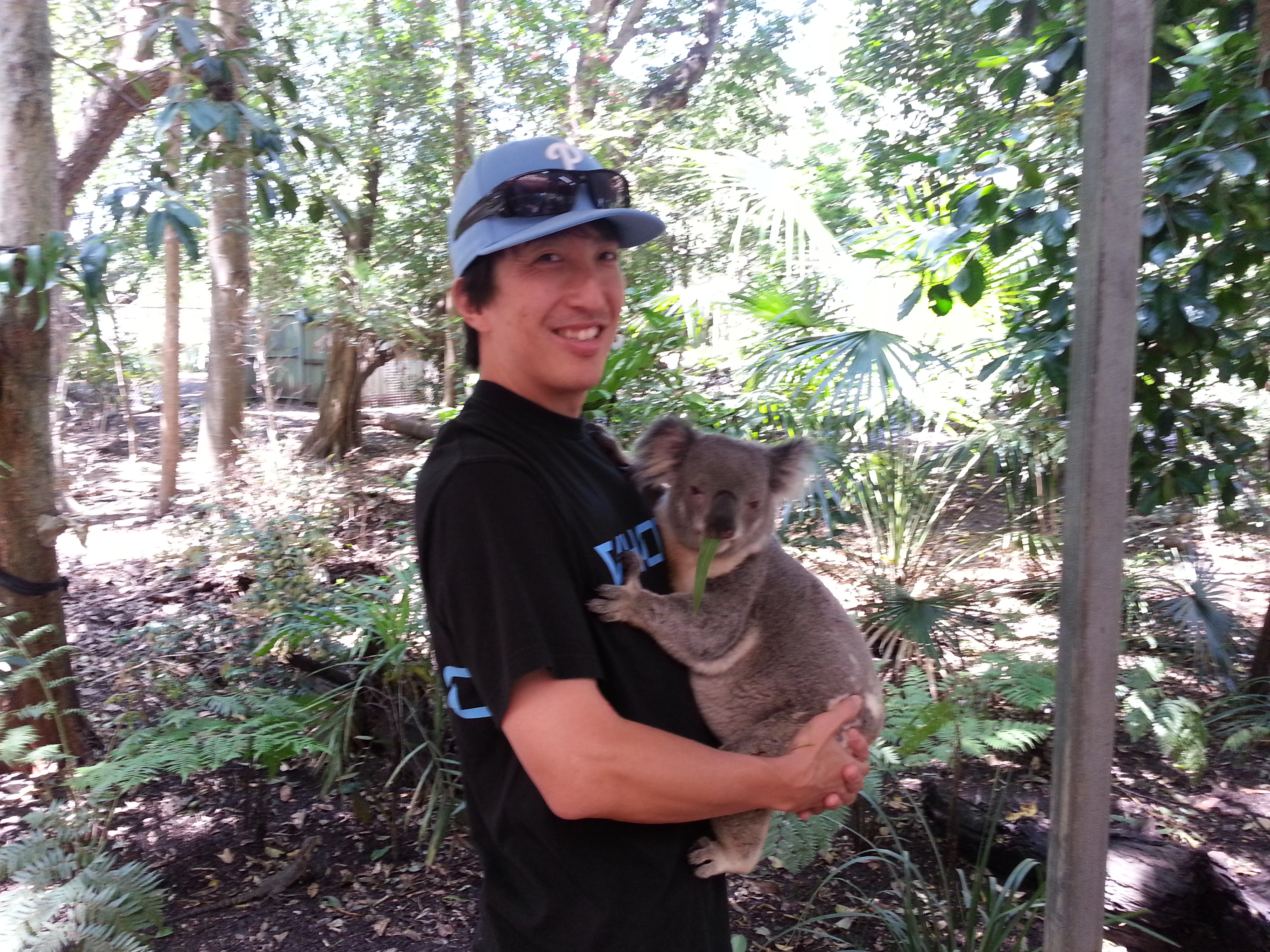 Aloha Brisbane! – Part III: Koala Day! (#AlohaBNE)