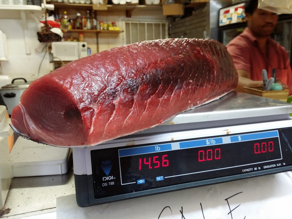 Fresh Ahi ready to be portioned